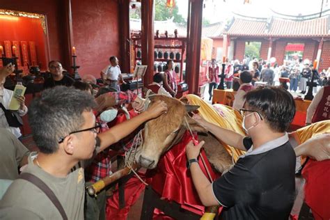 智慧毛|「全台首學」9/28祭孔 拔智慧毛回來了！